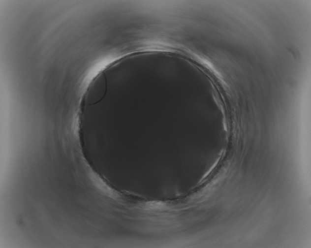 X0000114191463200911061353