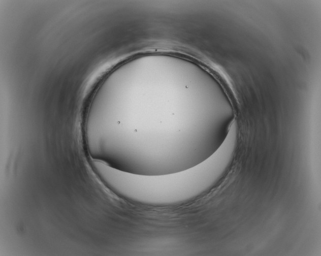 X0000114191464200911061353