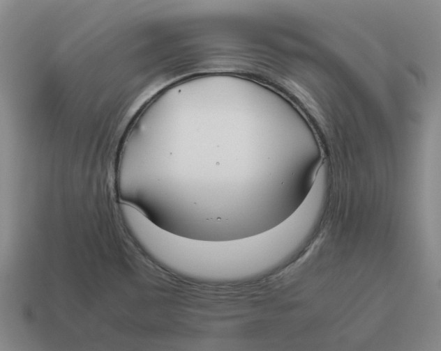 X0000114191465200911061353