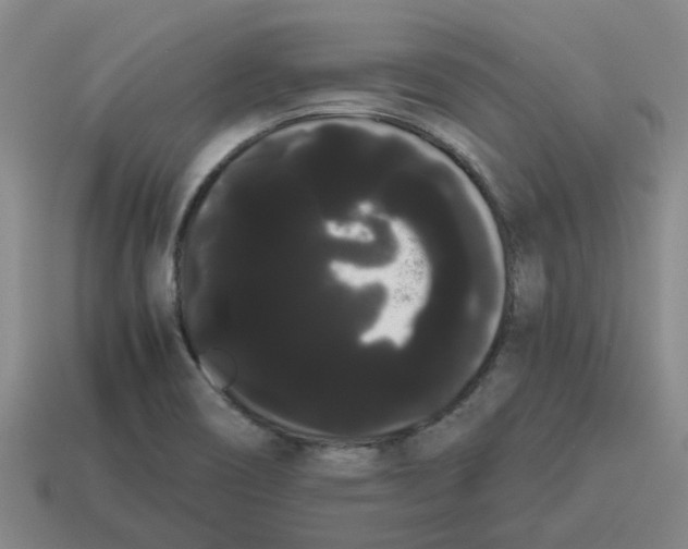 X0000114191466200911061353