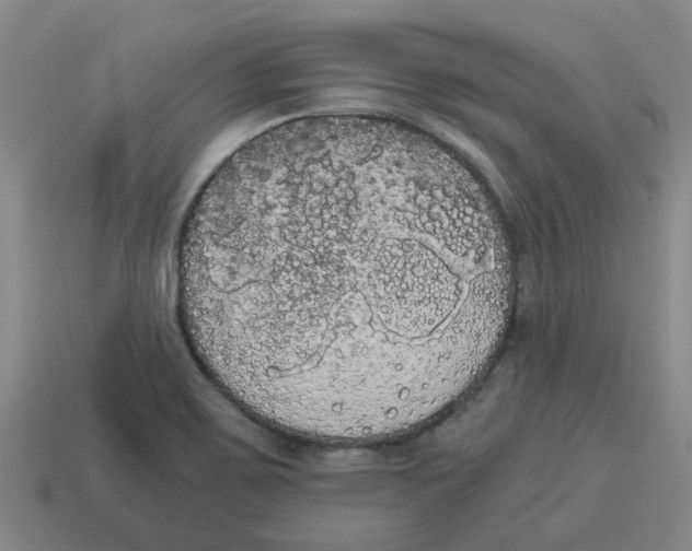 X0000114191467200911061353