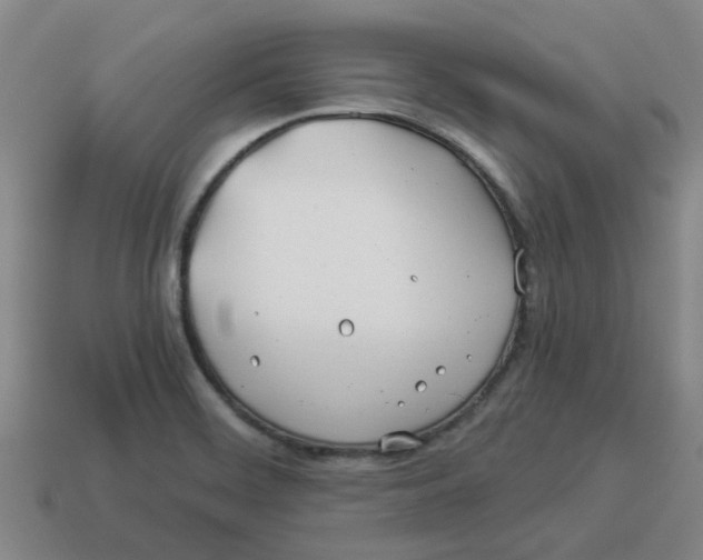 X0000114191468200911061353