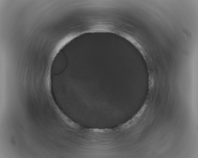 X0000114191469200911061353