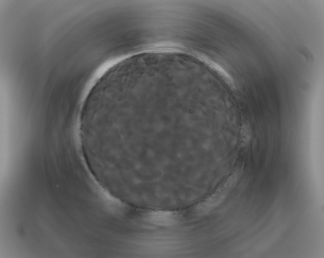 X0000114191470200911061353