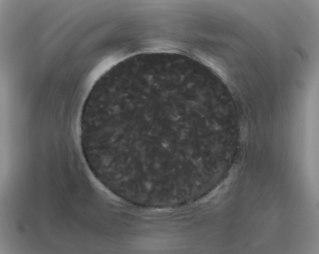 X0000114191471200911061353
