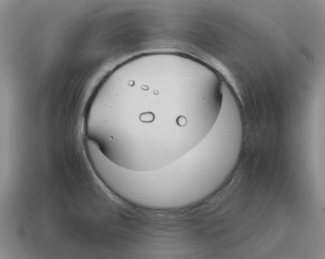 X0000114191472200911061353