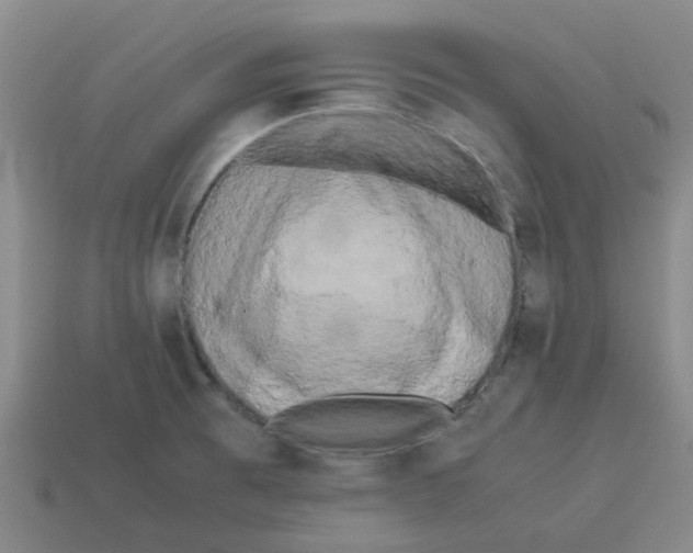 X0000114191473200911061353