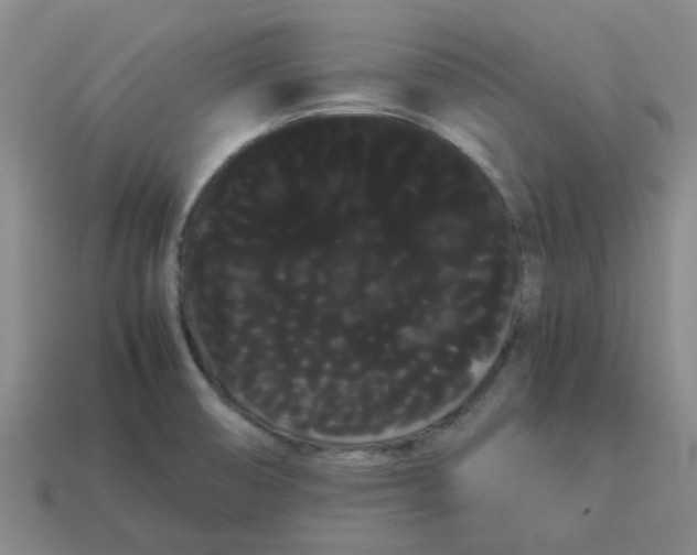 X0000114191474200911061353