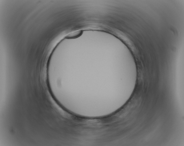 X0000114191479200911061352