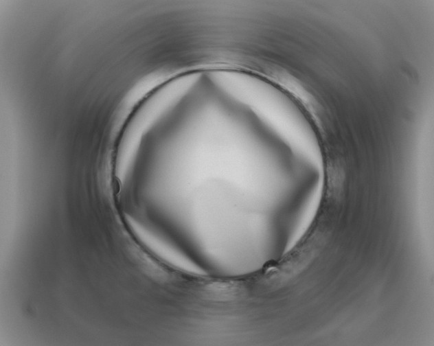 X0000114191480200911061352