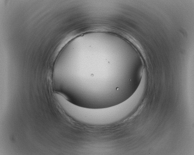 X0000114191481200911061352