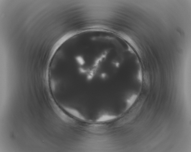 X0000114191482200911061352