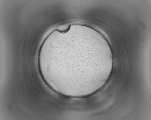 X0000114191483200911061352