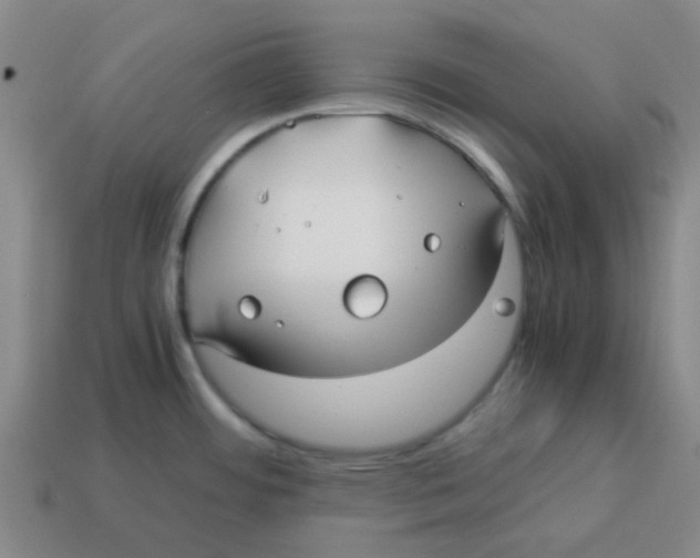 X0000114191484200911061352