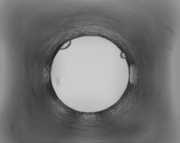 X0000114191491200911061352
