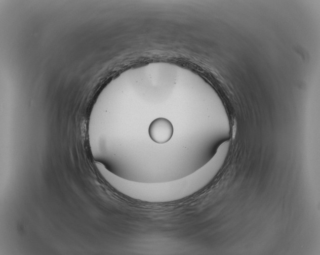 X0000114191492200911061352