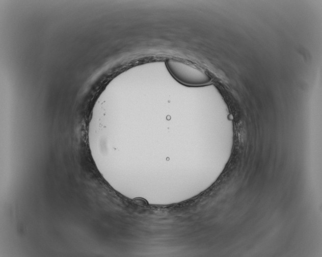 X0000114191495200911061352