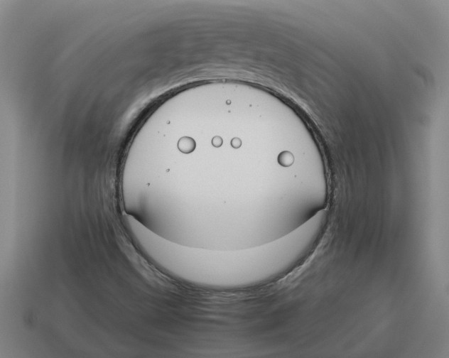 X0000114191499200911061352