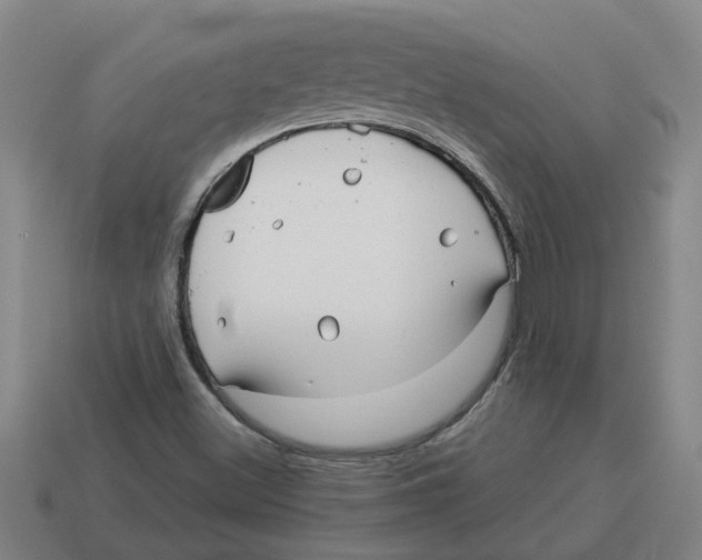 X0000114191500200911061352