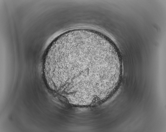 X0000114191501200911061352