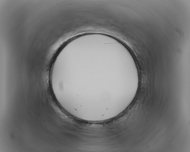 X0000114191503200911061352