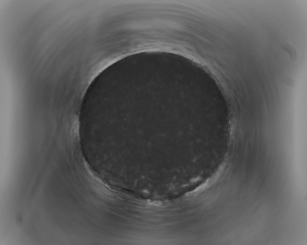 X0000114191505200911061352