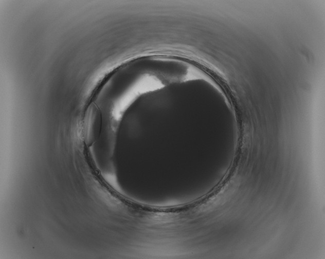 X0000114191506200911061352