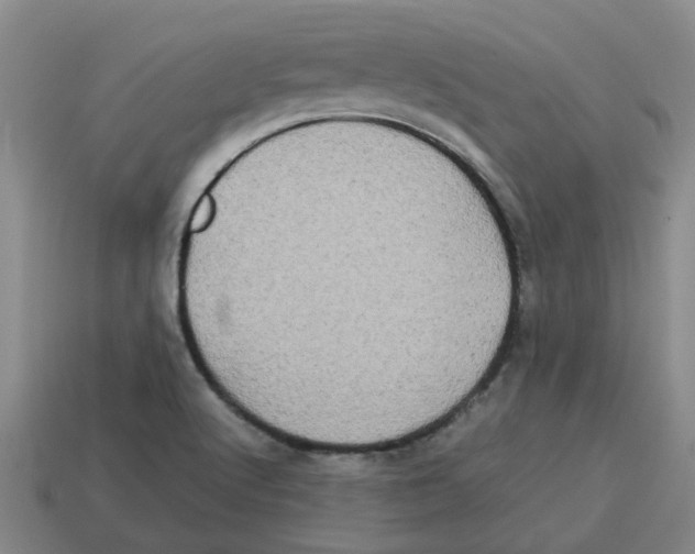 X0000114191512200911061352