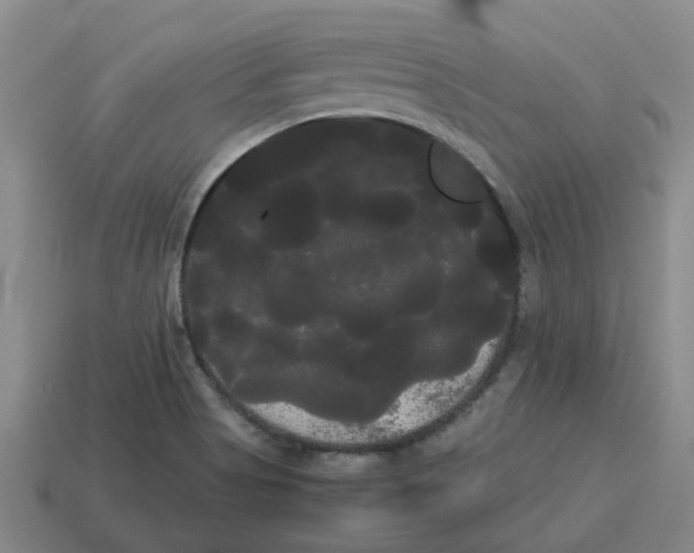 X0000114191513200911061352