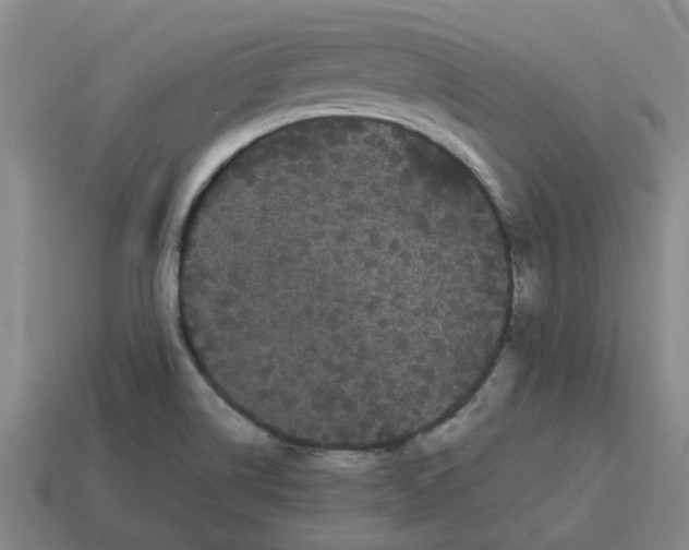 X0000114191514200911061352