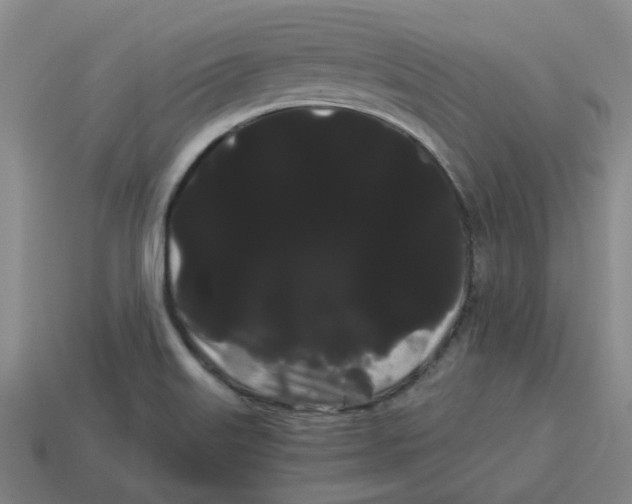 X0000114191515200911061352