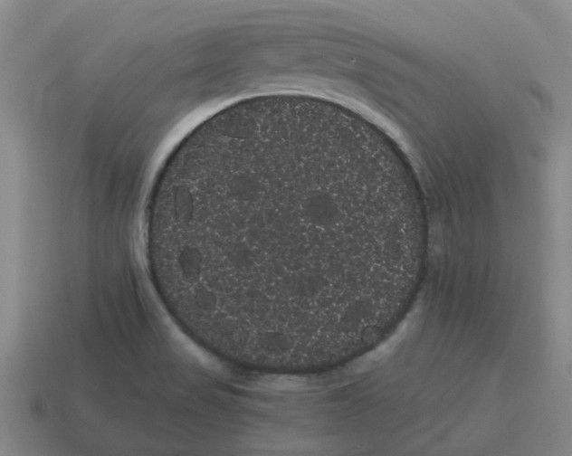 X0000114191517200911061352