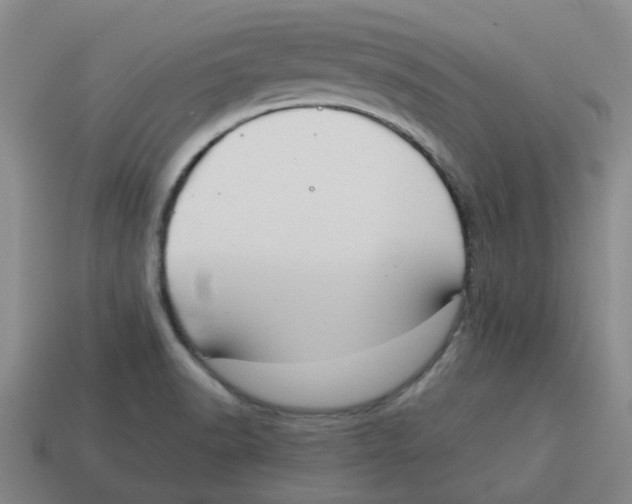 X0000114191518200911061352