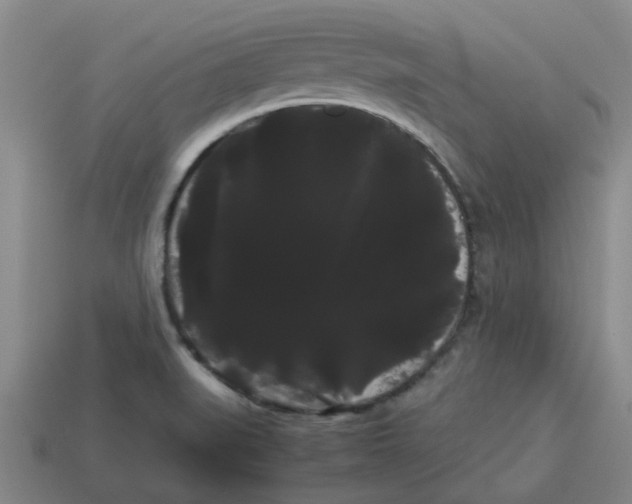 X0000114191519200911061352