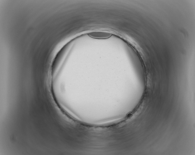 X0000114191520200911061352