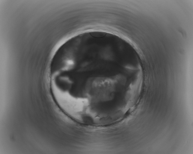 X0000114191522200911061352