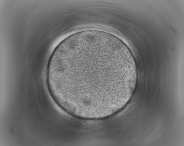 X0000114191523200911061352