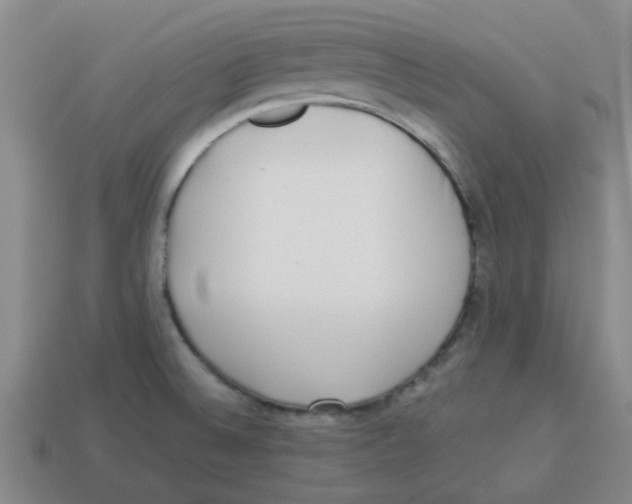 X0000114191524200911061352