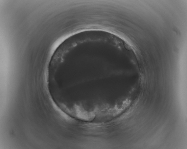 X0000114191527200911061352