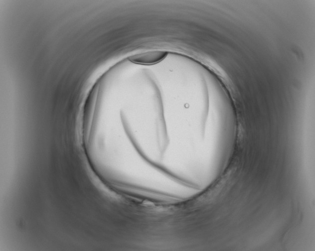X0000114191528200911061352
