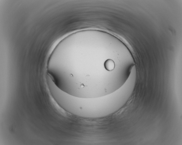 X0000114191532200911061352