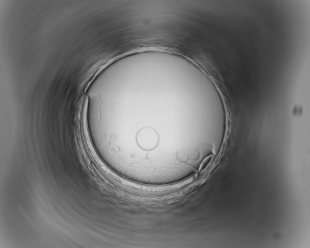 X0000114190001200911200947
