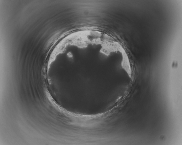 X0000114190002200911200947