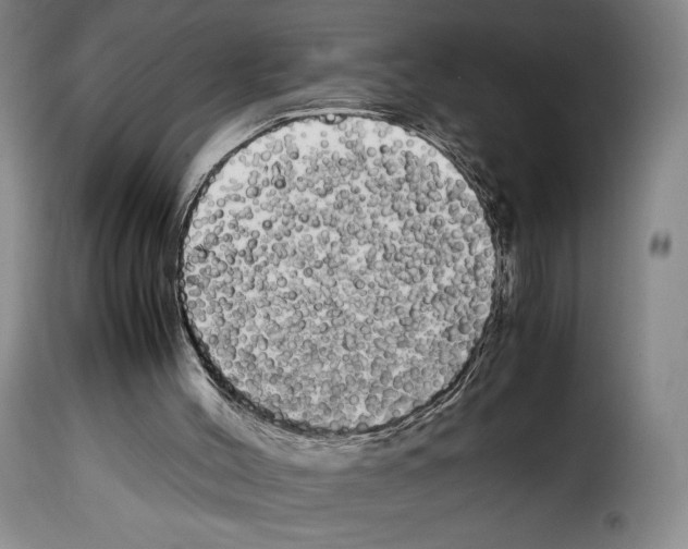 X0000114190004200911200947