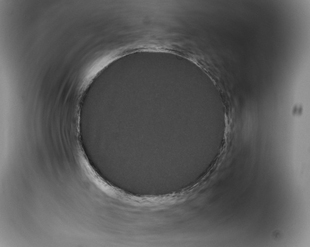 X0000114190005200911200947