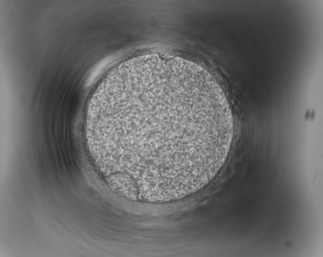 X0000114190006200911200947