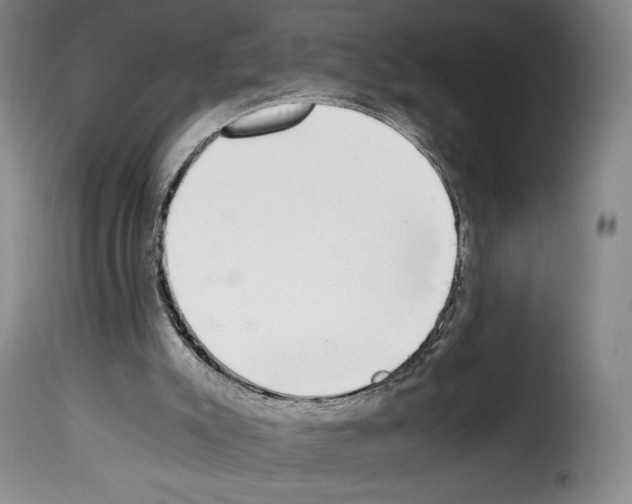 X0000114190007200911200947