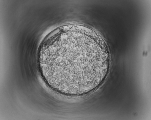 X0000114190008200911200947
