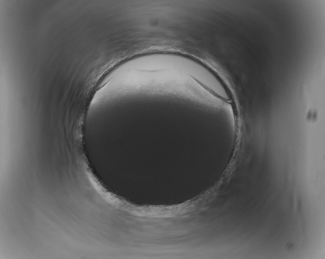 X0000114190009200911200947