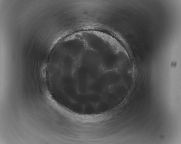 X0000114190010200911200947